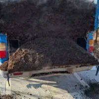 کود گوسفندی سوخته پوسیده