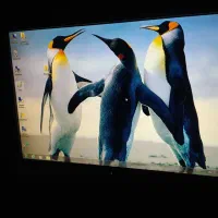 کامپیوترhp|رایانه رومیزی|زابل, |دیوار