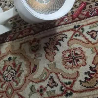 تعدادی لامپ سقفی وپرژکتوری|لامپ و چراغ|قم, شهرک طالقانی|دیوار