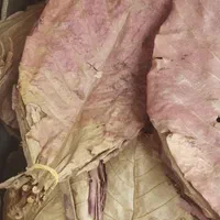 کاتاپا و سیستویفر فرص اسپرولینا دکپسوله ،متیلن بلو|ماهی|تهران, جیحون|دیوار