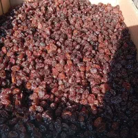 کشمش درجه ۱