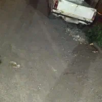 پیکان وانت|خودرو سواری و وانت|بم, |دیوار