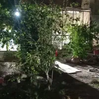 خانه باغ دروازه قرآن جنب مادر کودک|فروش خانه و ویلا|شیراز, دروازه قران|دیوار