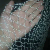 تور ماهیگیری