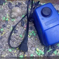 آکواریوم|ماهی|قرچک, باقرآباد|دیوار