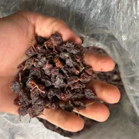 کشمش|عمدهفروشی|قزوین, |دیوار