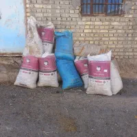 کود گوسفندی