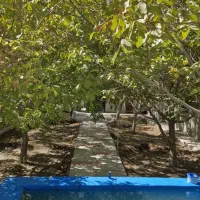 ۴۶۰۰ متر باغ حصار هروی