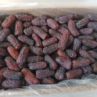 فروش عمده خرمای صادراتی تناژی|خوردنی و آشامیدنی|شیراز, احمدآباد|دیوار