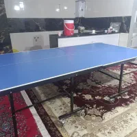 میز پینگ پنگ