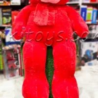 خرس شاسخین قرمز