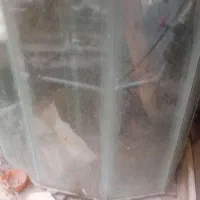 اکواریوم