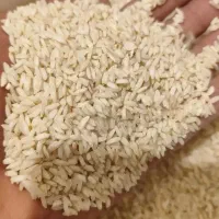 ماهشهر جراحی