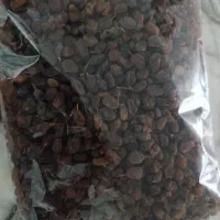 سایه خشک و کشمش پلویی|عمدهفروشی|ملایر, |دیوار