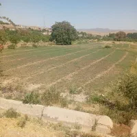 زمین باغی