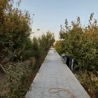 باغ ویلا800 متری/شهریار/دهشاد/میدان نماز/تهران سر|فروش خانه و ویلا|شهریار, دهشاد بالا|دیوار