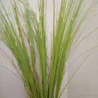 گل و گلدان فروشی|گل مصنوعی|کرج, شهرک رازی (حصارک)|دیوار