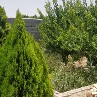 باغ نیمه کاره 530 متری برق کنتور و سند و چاه