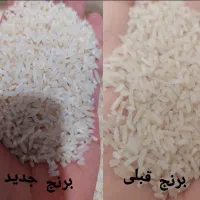 برنج هاشمی به شرط پخت سرلاشه وکامل صدرصدایران معطر|خوردنی و آشامیدنی|قرچک, شهرک طلائیه|دیوار