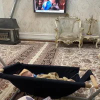 دو عدد گهواره پایه فلزی درحدنو|تخت و سرویس خواب|نسیم‌شهر, |دیوار