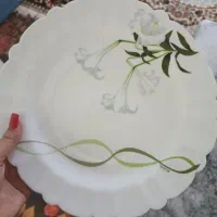 فقط بشقاب برنج خوری