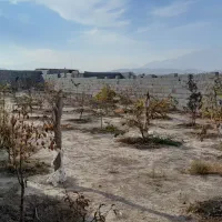 فروش باغ روبروی شهرک رضوی بسطام|فروش زمین و ملک کلنگی|بسطام, |دیوار