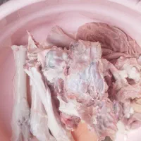 قصابی و ذبح گوسفند و گاو سیار