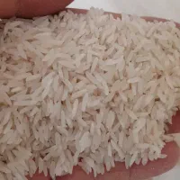 دونه برنج طارم محلی هاشمی فی ۳۵۵ ت