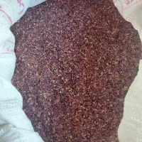 بنی تلخه|خوردنی و آشامیدنی|شیراز, حومه شیراز|دیوار
