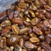 خرما بدون هسته