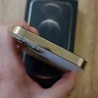 iphone 12 pro|موبایل|تبریز, |دیوار