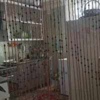 پرده تور ، پرده زبرا ،پرده ریشه ای،پرده آویز چوبی