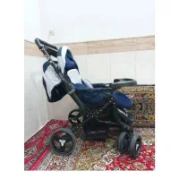 کالسکه دلیجان|کالسکه و لوازم جانبی|قم, چهل درخت‎|دیوار