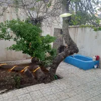 خانه قدیمی باصفا