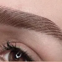 میکرو ابرو تخفیف ویژه شب یلدا