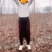 نهال خرمالو ۲ساله|خدمات باغبانی و درختکاری|خان ببین, |دیوار