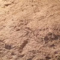 کاه سفید و سبز|خدمات باغبانی و درختکاری|سمیرم, |دیوار