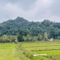 13هزار-متر-زمین-جنگلی-کوهپایه-ای-قلعه-رودخان