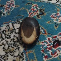 سنک مشکوک به شهاب سنک