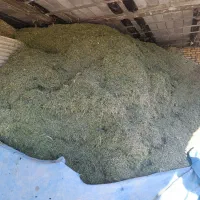 یونجه خورد شده