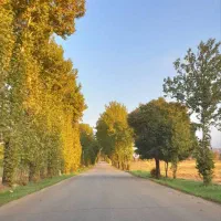 زمین-میرباقری-صنعت-180-متر