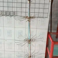 واگذاری و فروش ویترین و دکور و قفسه|فروشگاه و مغازه|یزد, |دیوار