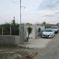 3/500باغ کیوی باسوئیت کنتورها نصب متری ۴میلیون|فروش زمین و ملک کلنگی|تنکابن, |دیوار