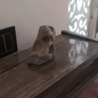 سنگ زیبا خاص