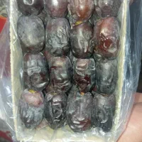 خرما بلوچستان|خوردنی و آشامیدنی|مشهد, کوشش|دیوار