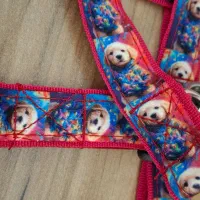 قلاده سگ و گربه|لوازم جانبی حیوانات|گرمدره, |دیوار