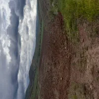 ۲هکتار زمین زراعی مرغوب|فروش دفتر صنعتی، کشاورزی، تجاری|فیروز, |دیوار