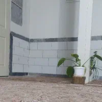 اجاره منزل مسکونی