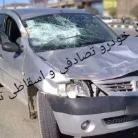 ماشین تصادفی و اسقاط