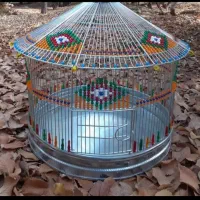 پرنده سهره قناری وسهره خاکی